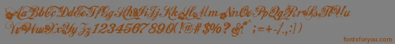 Hawaii Font – Brown Fonts on Gray Background