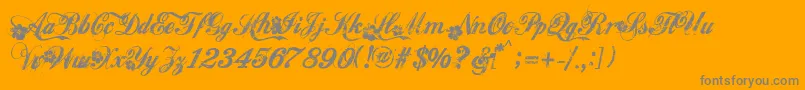 Hawaii Font – Gray Fonts on Orange Background