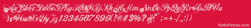 Hawaii Font – Pink Fonts on Red Background
