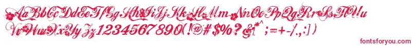Hawaii Font – Red Fonts