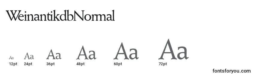 WeinantikdbNormal Font Sizes