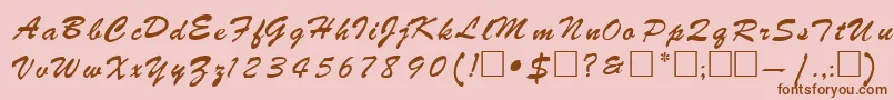 RebeckaRegular Font – Brown Fonts on Pink Background