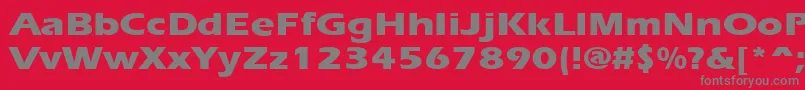 ErgoeextraboldexpandedRegular Font – Gray Fonts on Red Background
