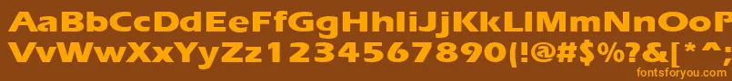 ErgoeextraboldexpandedRegular Font – Orange Fonts on Brown Background
