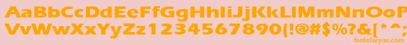 ErgoeextraboldexpandedRegular Font – Orange Fonts on Pink Background