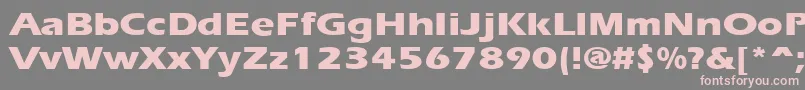 ErgoeextraboldexpandedRegular Font – Pink Fonts on Gray Background