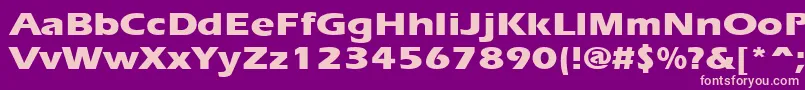 ErgoeextraboldexpandedRegular Font – Pink Fonts on Purple Background