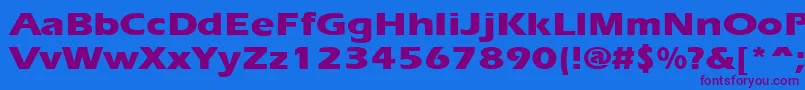 ErgoeextraboldexpandedRegular Font – Purple Fonts on Blue Background
