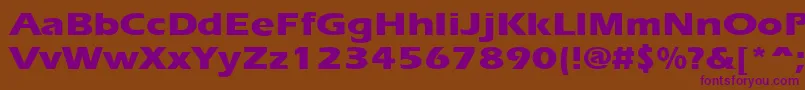 ErgoeextraboldexpandedRegular Font – Purple Fonts on Brown Background