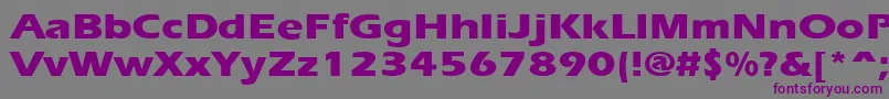 ErgoeextraboldexpandedRegular Font – Purple Fonts on Gray Background