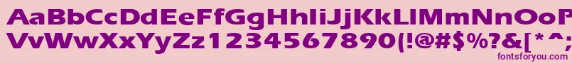 ErgoeextraboldexpandedRegular Font – Purple Fonts on Pink Background