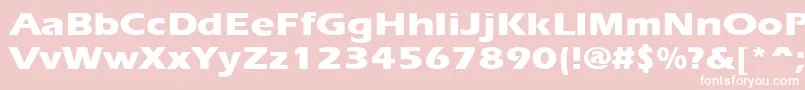 ErgoeextraboldexpandedRegular Font – White Fonts on Pink Background