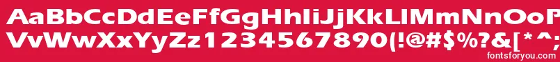 ErgoeextraboldexpandedRegular Font – White Fonts on Red Background