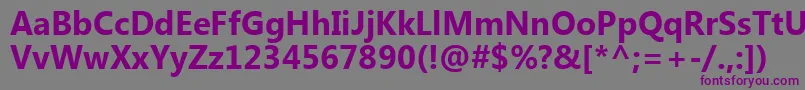 SegoeUiРџРѕР»СѓР¶РёСЂРЅС‹Р№ Font – Purple Fonts on Gray Background