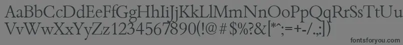 BambergserialLightRegular Font – Black Fonts on Gray Background