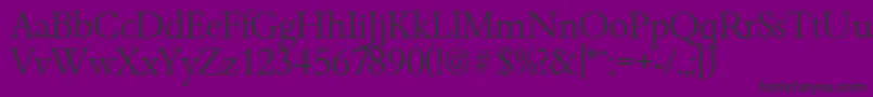 BambergserialLightRegular Font – Black Fonts on Purple Background