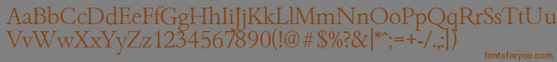 BambergserialLightRegular Font – Brown Fonts on Gray Background