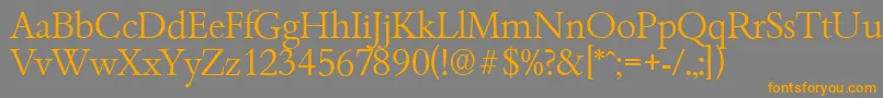 BambergserialLightRegular Font – Orange Fonts on Gray Background