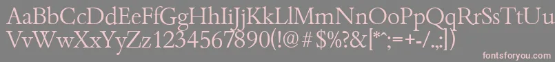 BambergserialLightRegular Font – Pink Fonts on Gray Background