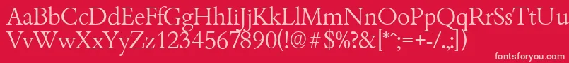 BambergserialLightRegular Font – Pink Fonts on Red Background