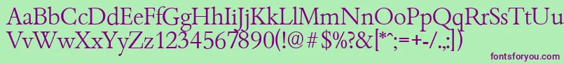 BambergserialLightRegular Font – Purple Fonts on Green Background