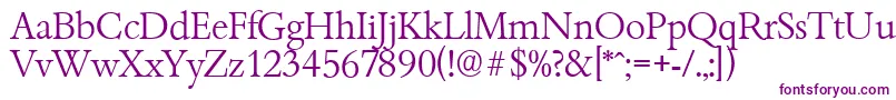 BambergserialLightRegular Font – Purple Fonts