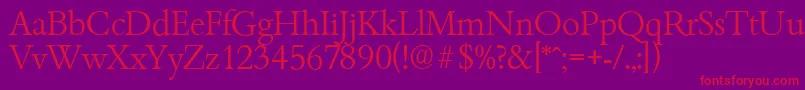 BambergserialLightRegular Font – Red Fonts on Purple Background