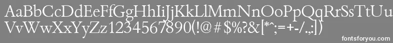 BambergserialLightRegular Font – White Fonts on Gray Background