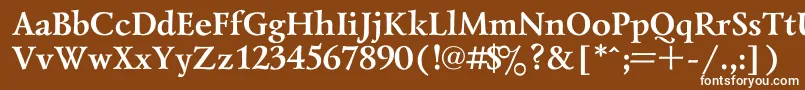 LazurskiBold Font – White Fonts on Brown Background