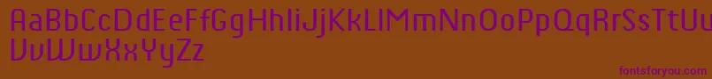 ChiqReducedRegular Font – Purple Fonts on Brown Background