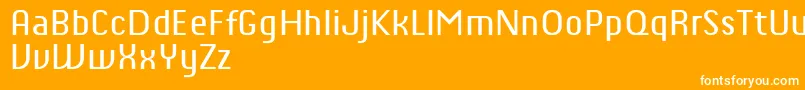 ChiqReducedRegular Font – White Fonts on Orange Background