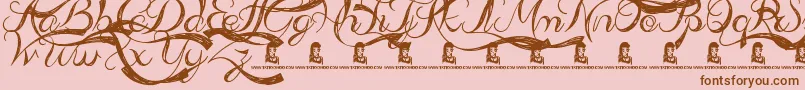 fuente AdmirationPains – Fuentes Marrones Sobre Fondo Rosa