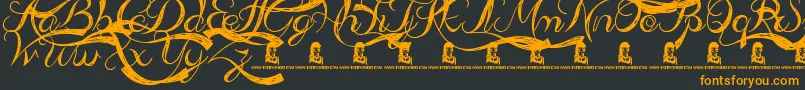 AdmirationPains-fontti – oranssit fontit mustalla taustalla