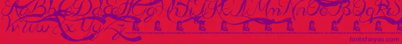 AdmirationPains Font – Purple Fonts on Red Background
