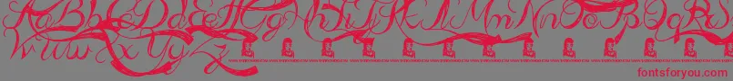 AdmirationPains Font – Red Fonts on Gray Background