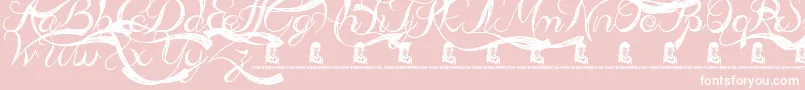 AdmirationPains-Schriftart – Weiße Schriften auf rosa Hintergrund