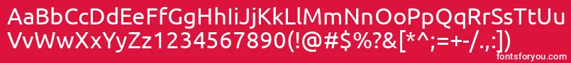 Ubuntu Font – White Fonts on Red Background