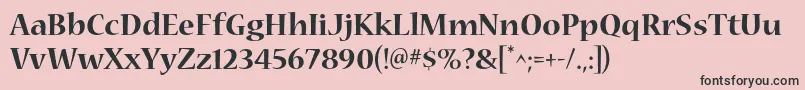 NuevastdBold Font – Black Fonts on Pink Background