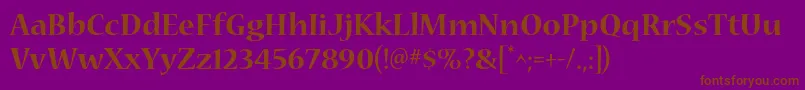 NuevastdBold Font – Brown Fonts on Purple Background
