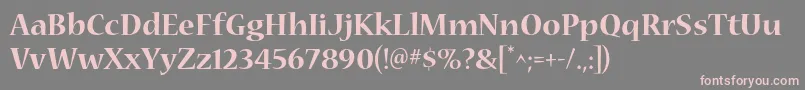 NuevastdBold Font – Pink Fonts on Gray Background