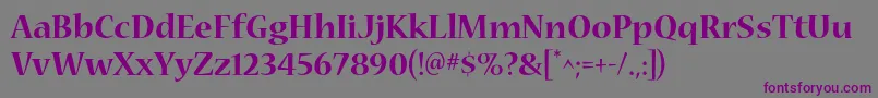 Шрифт NuevastdBold – фиолетовые шрифты на сером фоне