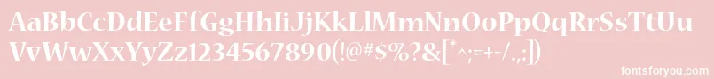 フォントNuevastdBold – ピンクの背景に白い文字