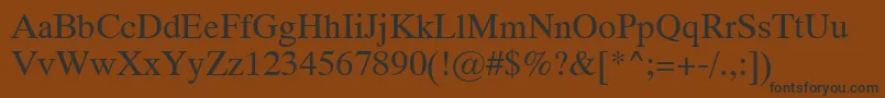 Dutch801RomanSwa Font – Black Fonts on Brown Background