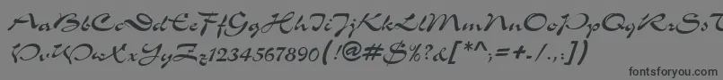 MemoScriptSsi-Schriftart – Schwarze Schriften auf grauem Hintergrund