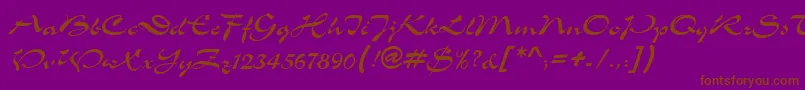 MemoScriptSsi Font – Brown Fonts on Purple Background