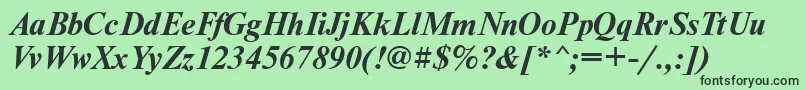 NewtontttBolditalic Font – Black Fonts on Green Background