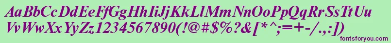 NewtontttBolditalic Font – Purple Fonts on Green Background