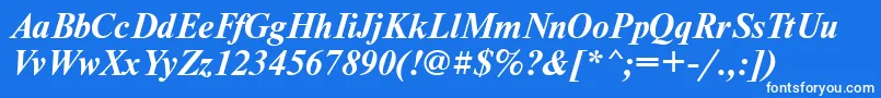 NewtontttBolditalic Font – White Fonts on Blue Background