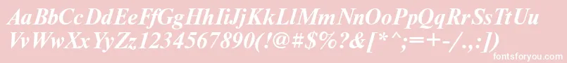 NewtontttBolditalic Font – White Fonts on Pink Background