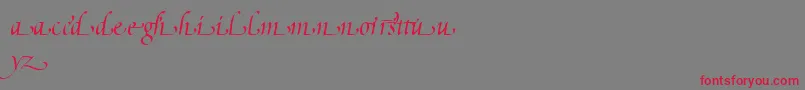 Więcej informacji o czcionce PoeticaSuppLowercaseEndingsI Czcionka PoeticaSuppLowercaseEndingsI – czerwone czcionki na szarym tle